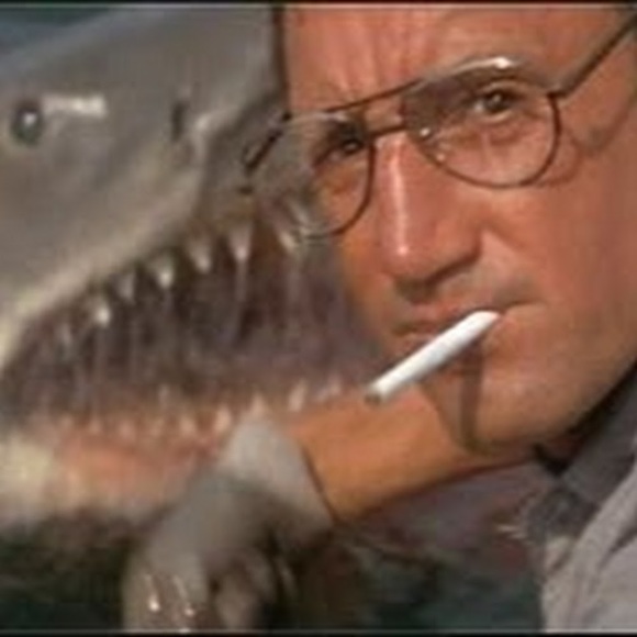 Meet your Posher, Patrick - Picture 1 of 1